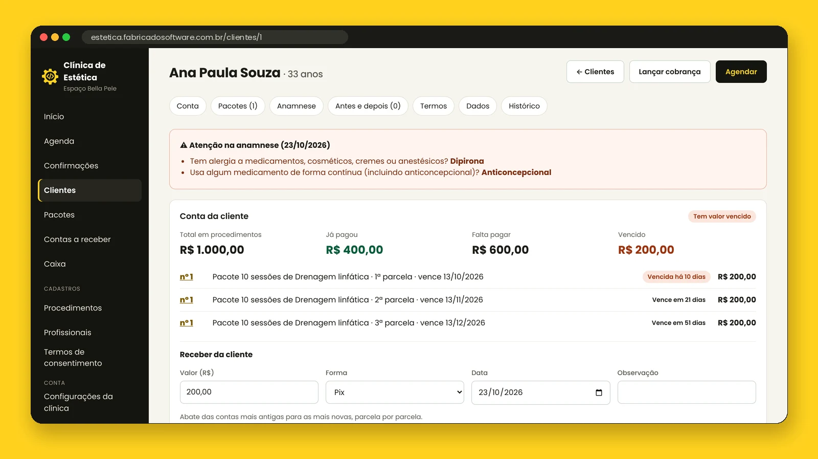 Ficha da cliente: alertas da anamnese, conta e parcelas