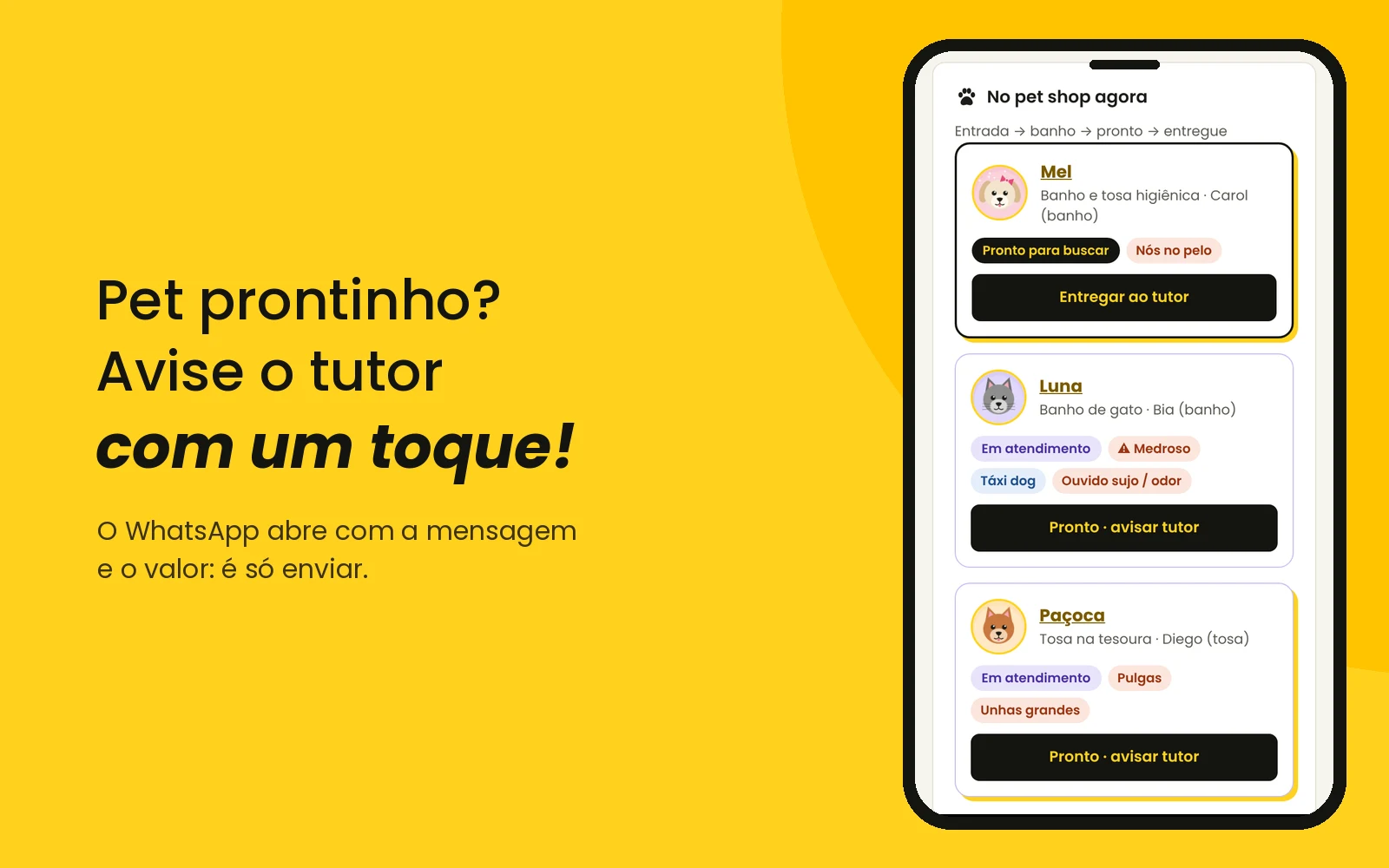 Pronto para buscar: o tutor é avisado no WhatsApp com um toque